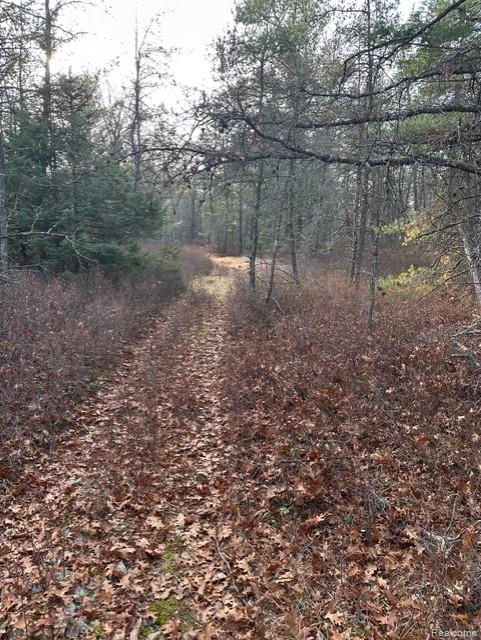 VL W AuSable Point Road, Oscoda, MI 48750 — Photo 8