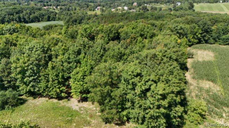 Parcel 4 Sycamore St, Dryden, MI 48428 — Photo 2