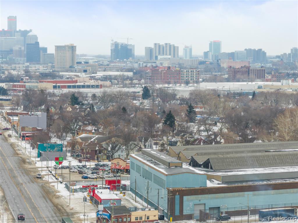 6538 Michigan Avenue, Detroit, MI 48210 — Photo 12