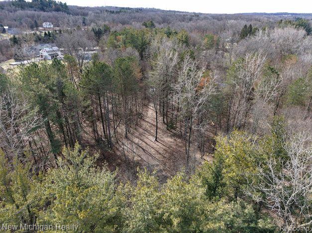 11461 WHITE LAKE Road, Fenton, MI, 48430