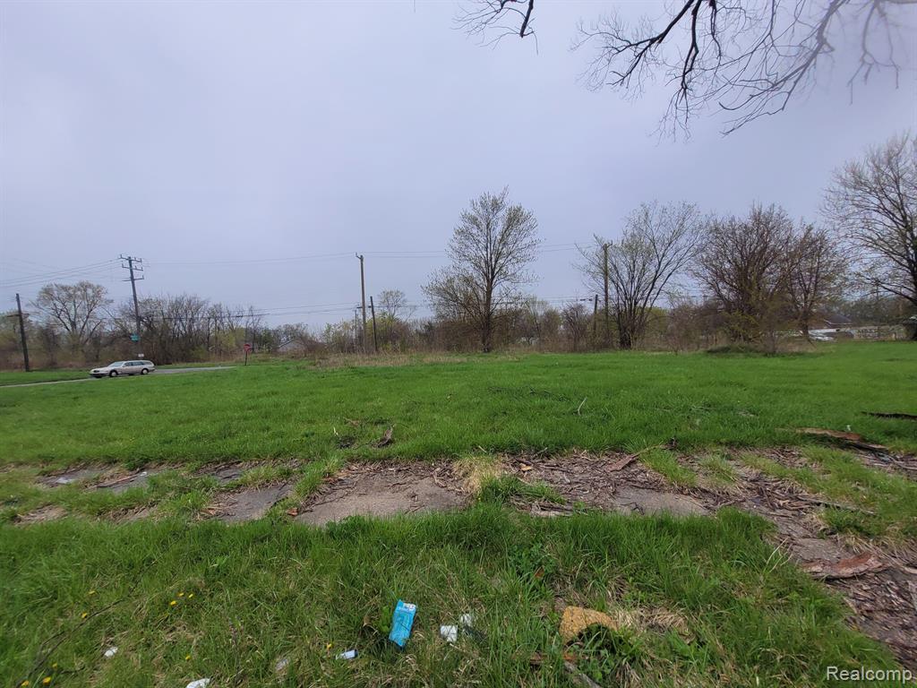 3911 BEACONSFIELD Street, Detroit, MI 48224 — Photo 2