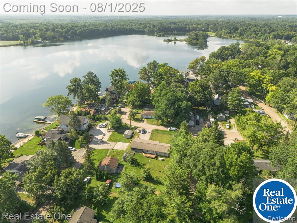 6074 Three Lakes Drive, Brighton, MI 48116 — Photo 18