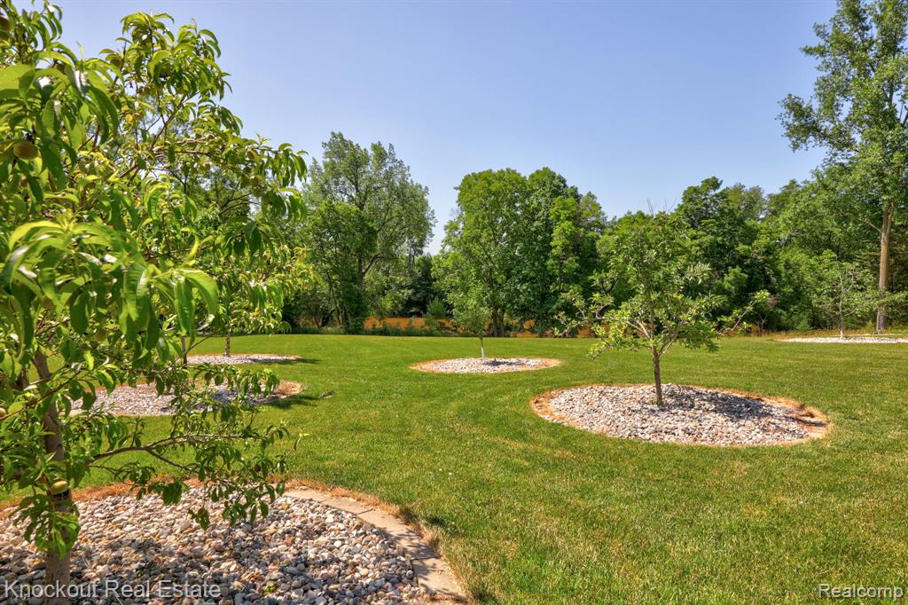 705 W Tuscola Street, Frankenmuth, MI 48734 — Photo 50