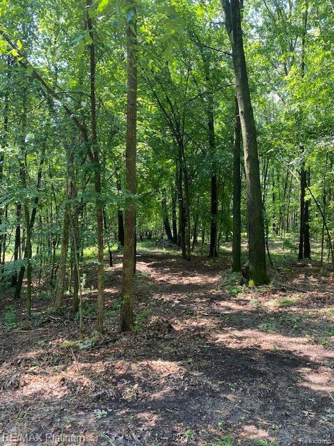 6 Sleaford-Parcel 6 - 2.1 Acres Road, Howell, MI 48843 — Photo 34
