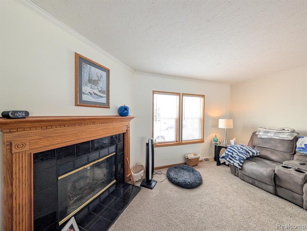 11242 Nearbrook Court, South Lyon, MI 48178 — Photo 12