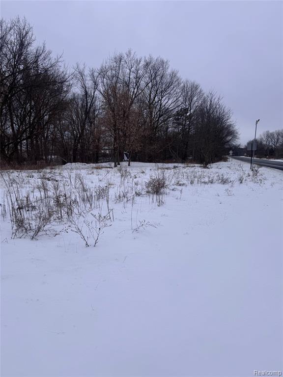 8545 Jackson Road, Dexter, MI 48130 — Photo 12