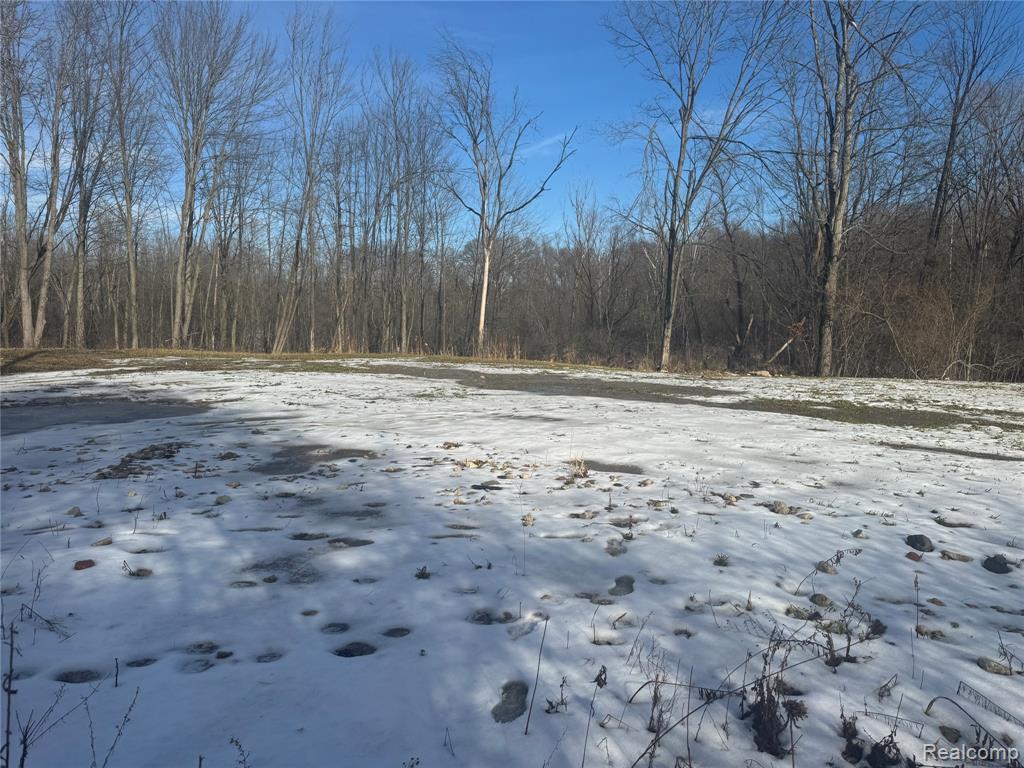 14329 Linder Drive, Holly, MI 48442 — Photo 6