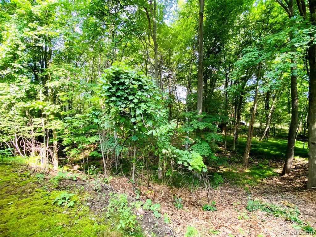 1576 Pine Knoll Lane, Caro, MI 48723 — Photo 25
