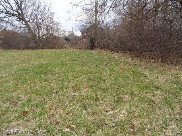 1749 COLLINGWOOD Street, Detroit, MI 48206 — Photo 11