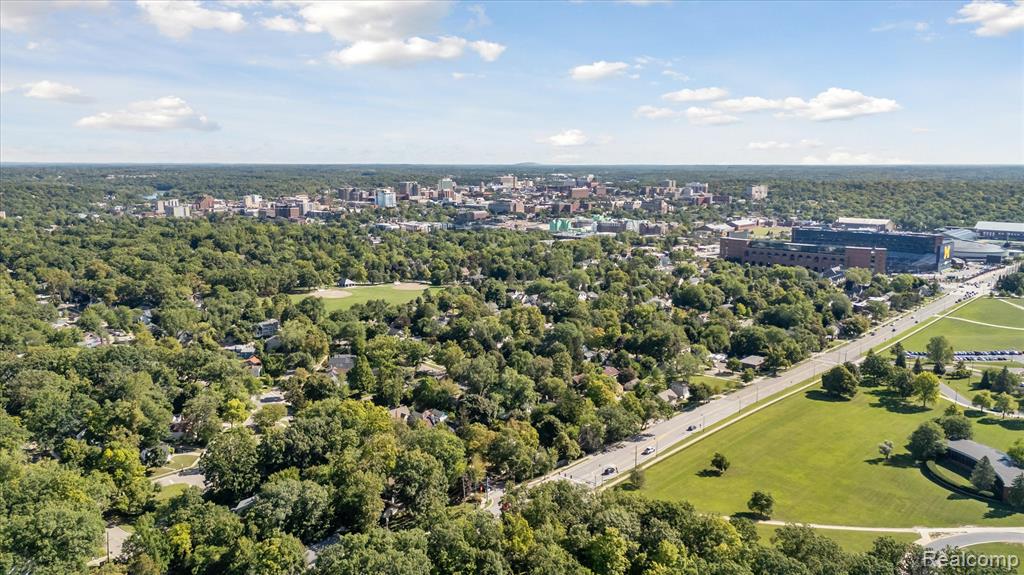 1134 Hutchins Avenue, Ann Arbor, MI 48103 — Photo 35