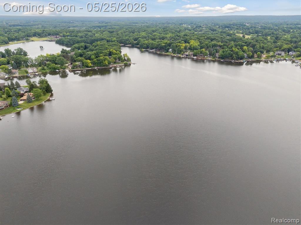 3817 Lake Lapeer Drive, Metamora, MI 48455 — Photo 13
