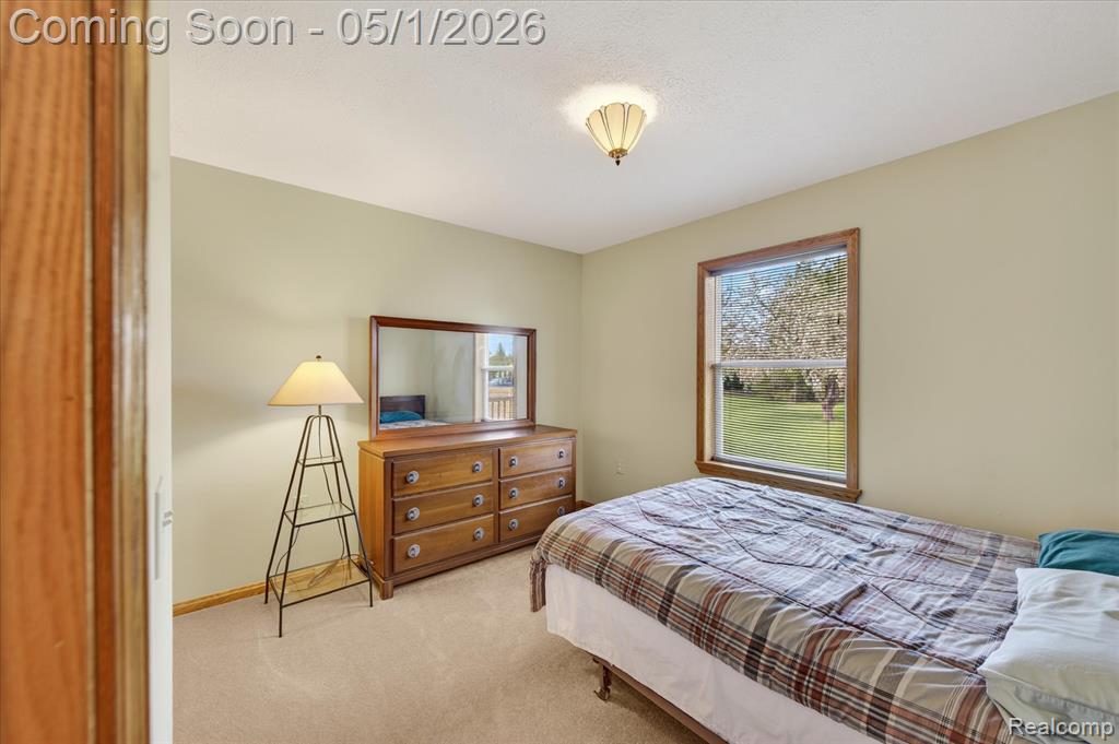 9074 Hamburg Road, Brighton, MI 48116 — Photo 21
