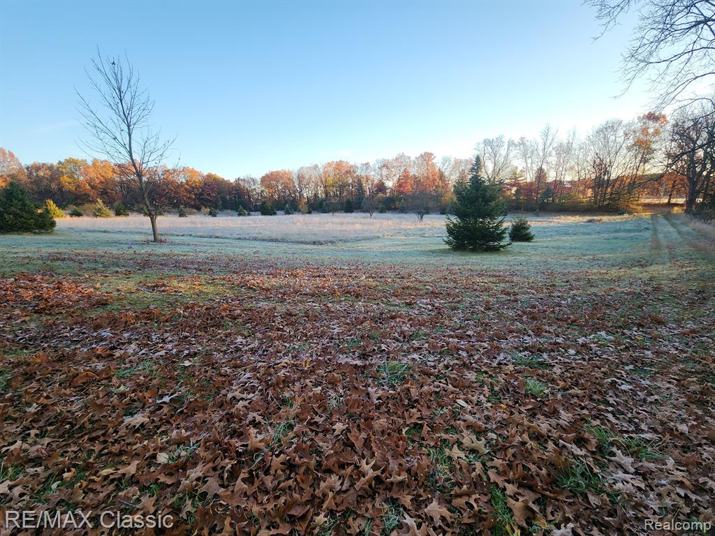 4125 N TIPSICO LAKE Road, Hartland, MI 48353 — Photo 28