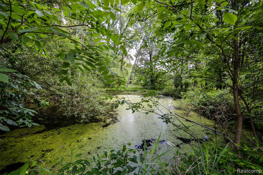 17750 DEXTER Trail, Gregory, MI 48137 — Photo 52
