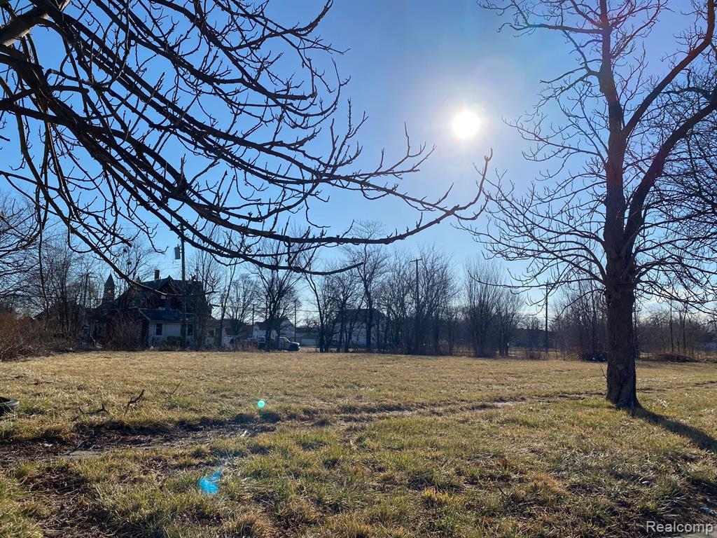 4444 GRANDY Street, Detroit, MI 48207 — Photo 4
