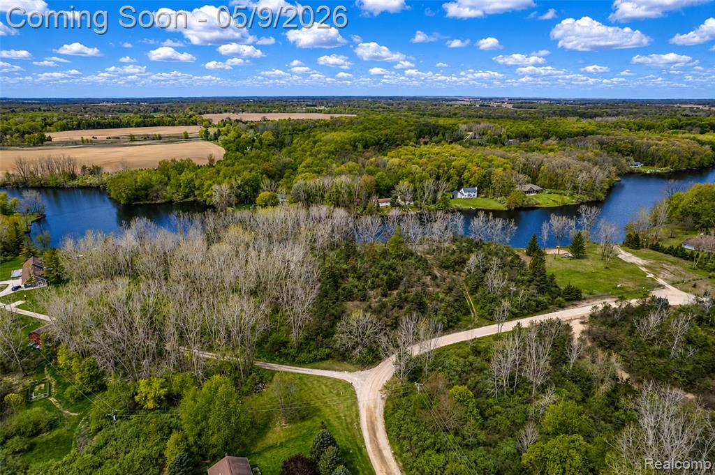 11119 Garrett Drive, Fowlerville, MI 48836 — Photo 43