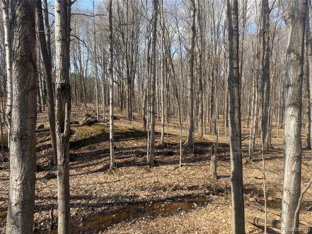V/L Fulton, Mayville Vlg, MI 48744 — Photo 24
