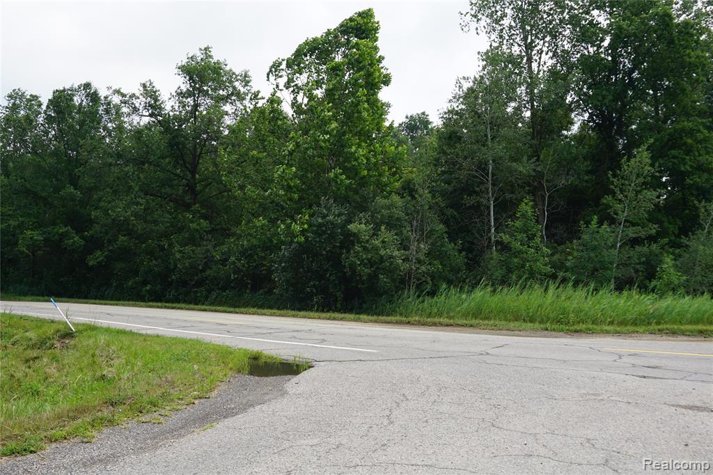 Vacant Willow Road, New Boston, MI 48164 — Photo 2