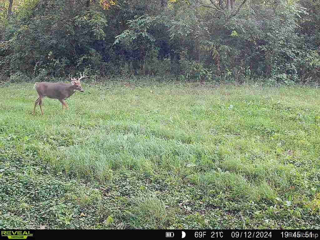 V/L BLAKE Road, Jackson, MI 49201 — Photo 92