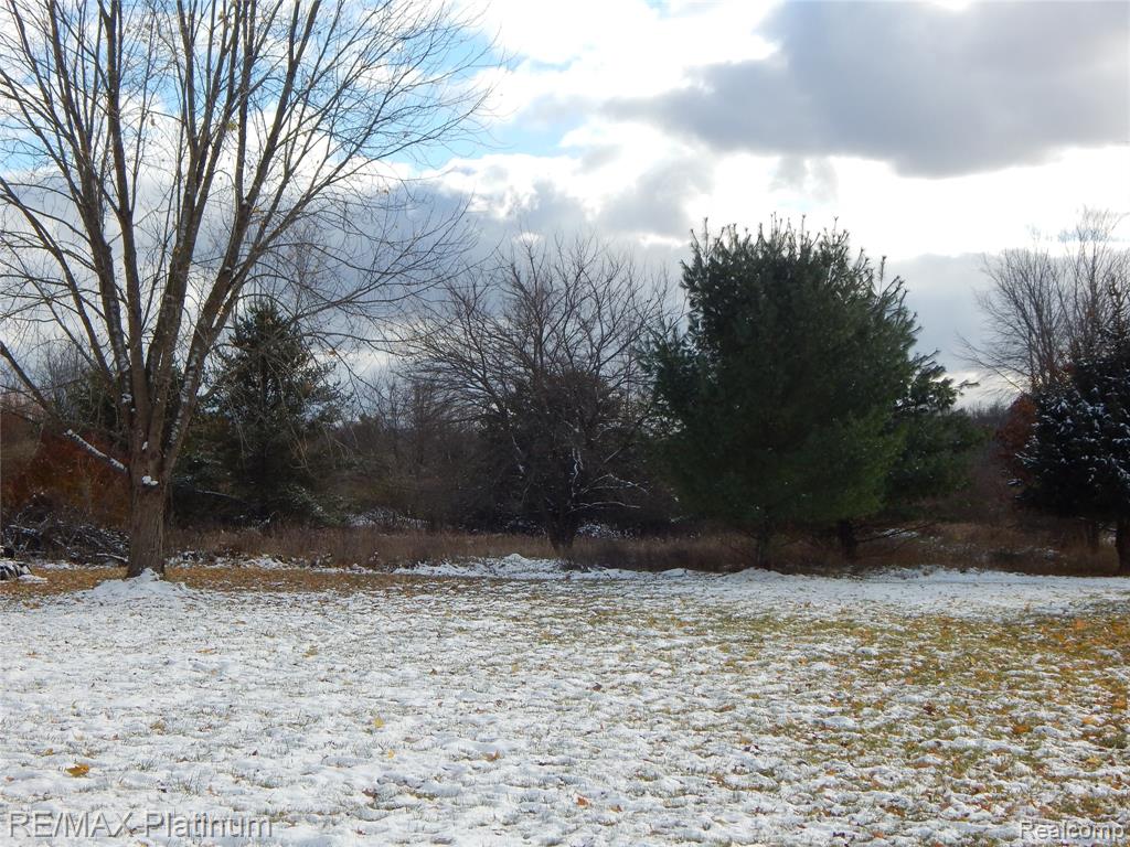 10321 E Lovejoy Road, Perry, MI 48872 — Photo 50