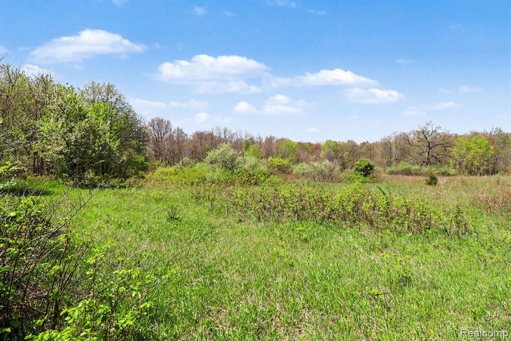 Parcel #3 Milford Rd, Holly, MI 48442 — Photo 6