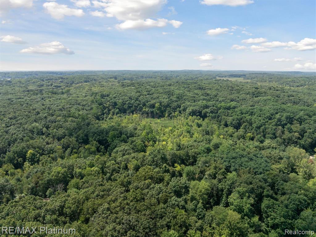 8751 Beechwood Drive, Gregory, MI 48137 — Photo 56