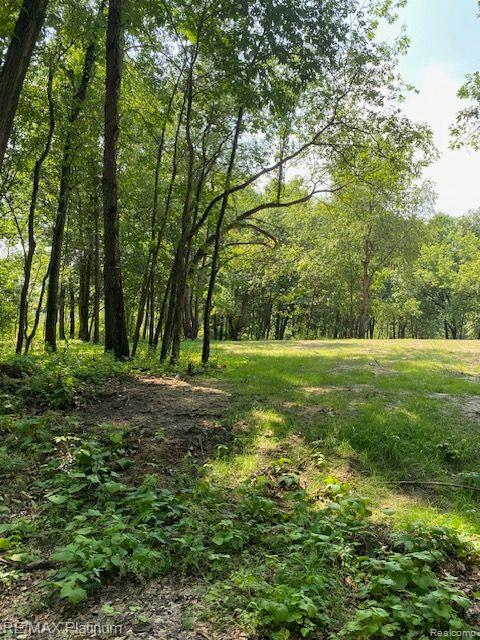 5 Sleaford-Parcel 5 - 2.5 Acres Road, Howell, MI 48843 — Photo 17