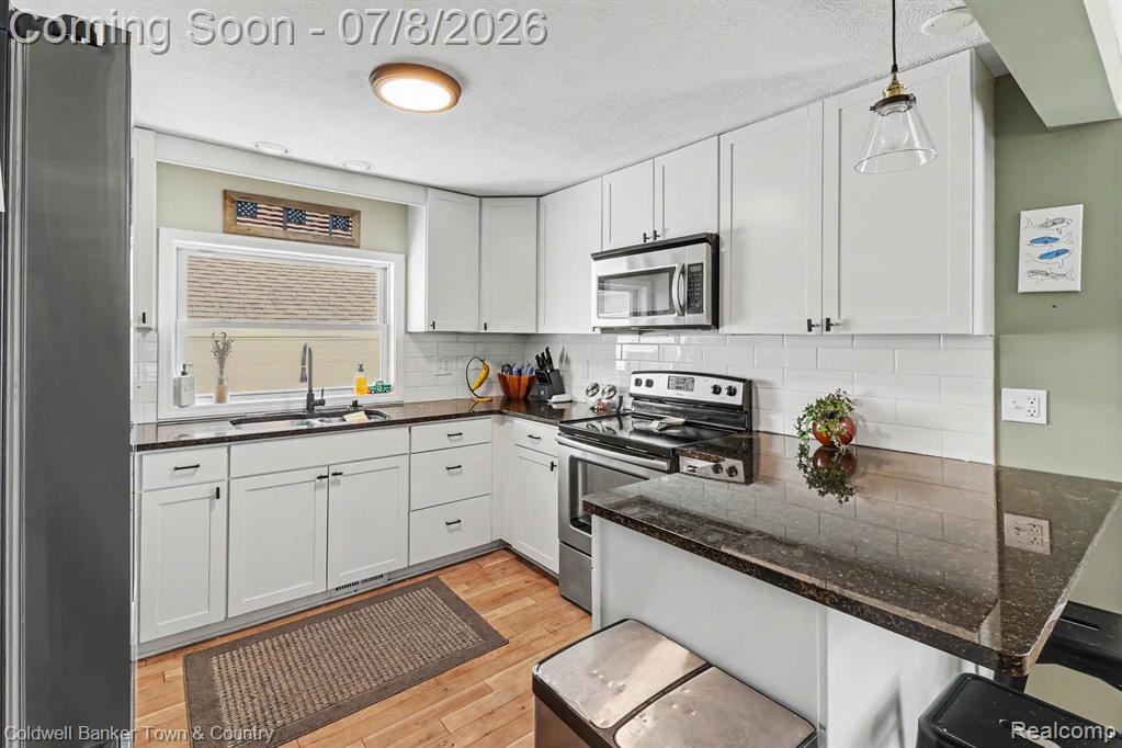 4240 Moyer Road, Williamston, MI 48895 — Photo 7