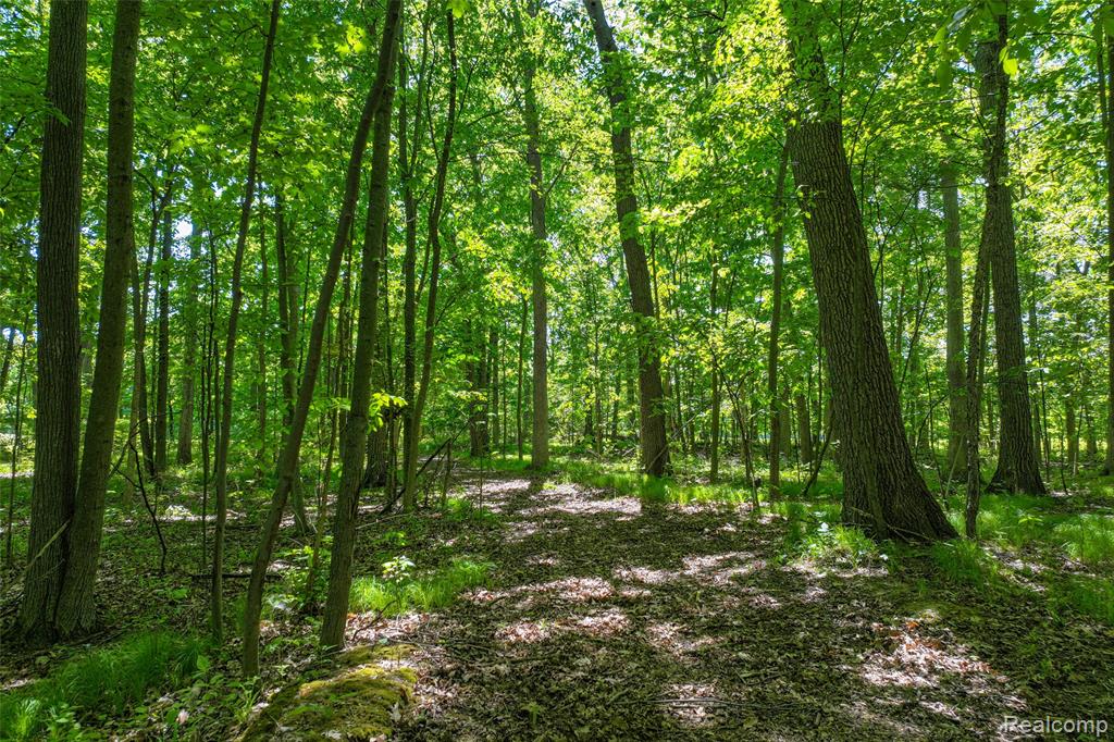 3075 Crandall Road, Howell, MI 48855 — Photo 18