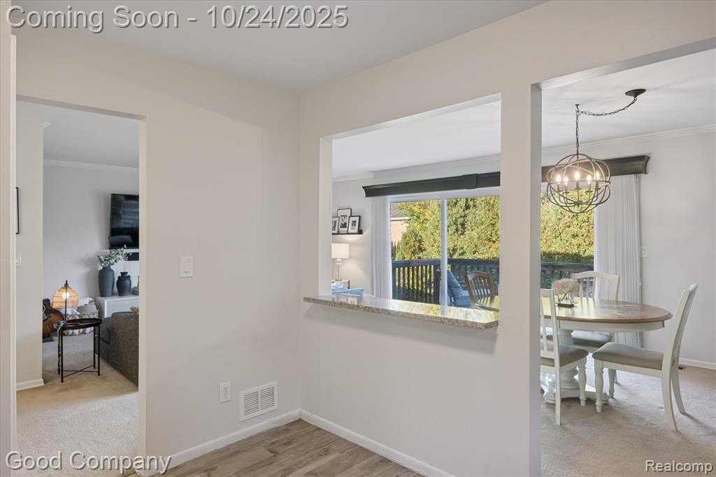 745 Randolph Street, 223, Northville, MI 48167 — Photo 13