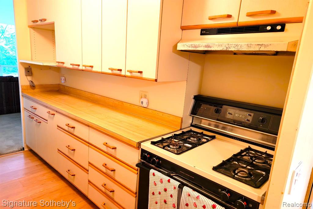 1400 Joliet Place, Detroit, MI 48207 — Photo 8