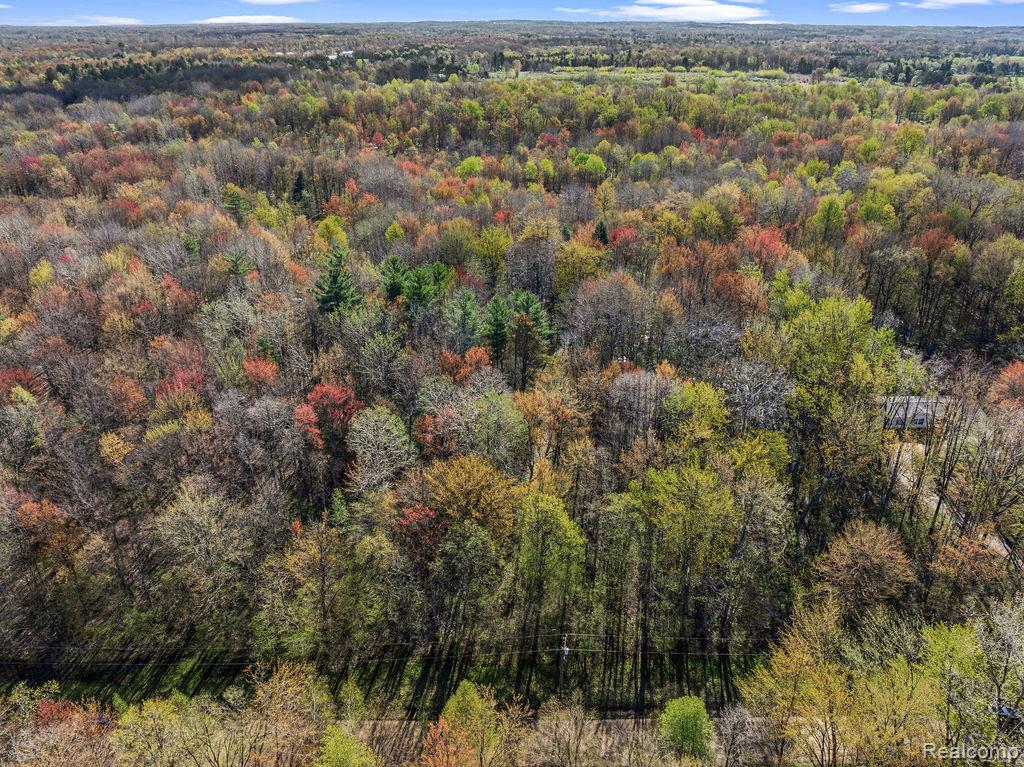 6799 Maplegrove Road, Vassar, MI 48768 — Photo 3