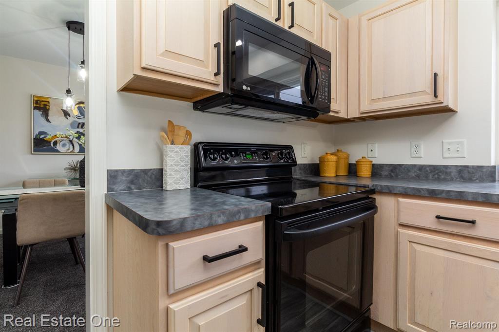 3281 NIAGARA Avenue, Canton, MI 48188 — Photo 14