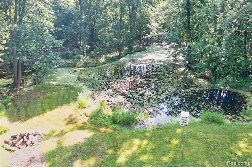 55535 WOODY Lane, South Lyon, MI 48178 — Photo 39