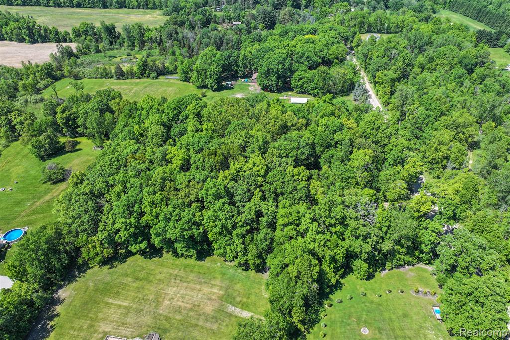 3075 Crandall Road, Howell, MI 48855 — Photo 10