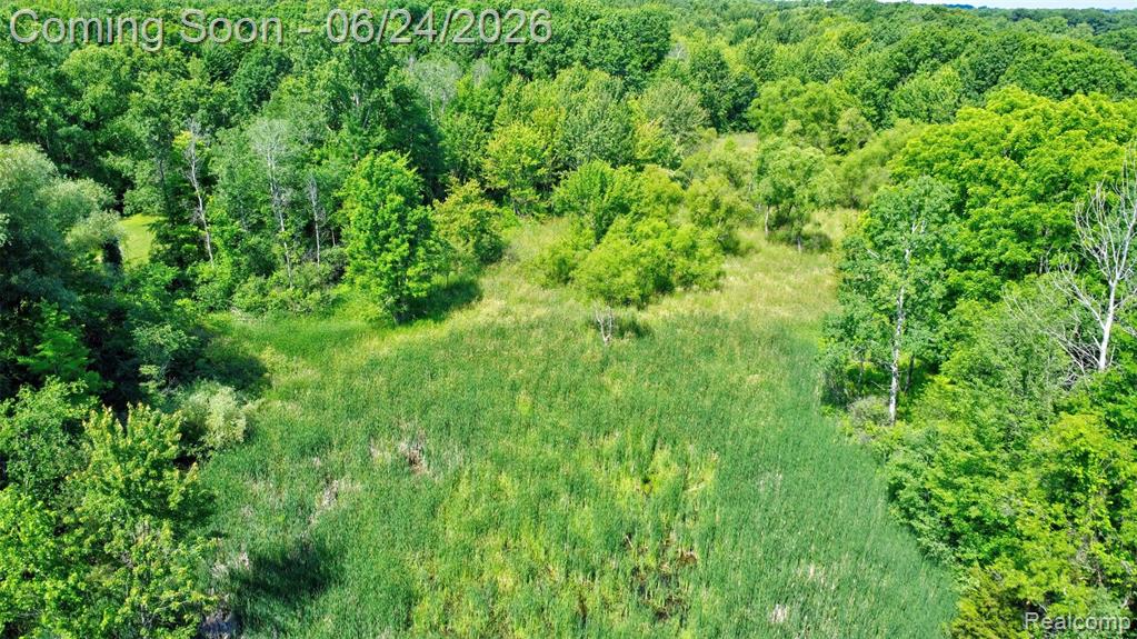 13252 Dixie Highway, Holly, MI 48442 — Photo 37
