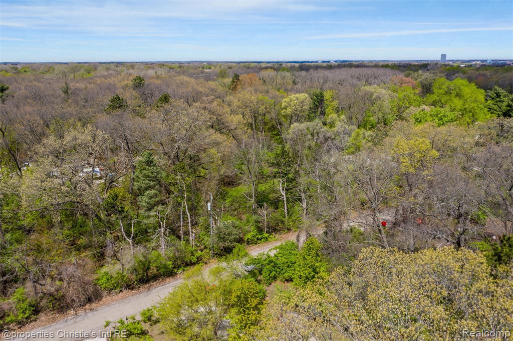.5 of Lot 12 Hunters Lane, Southfield, MI 48033 — Photo 9