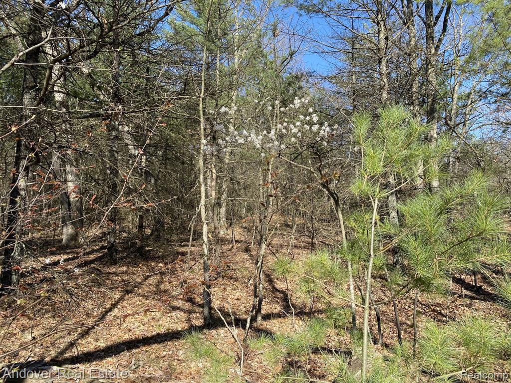 Nichols Road, Holton, MI 49425 — Photo 5