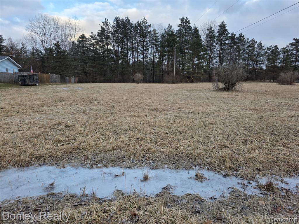 V/L Lorraine Street Street, Marlette, MI 48453 — front exterior
