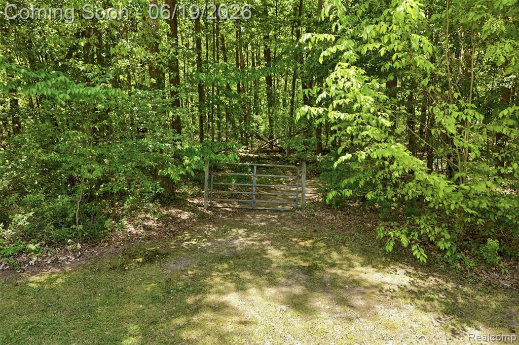 3167 Roods Lake Road, Lapeer, MI 48446 — Photo 38