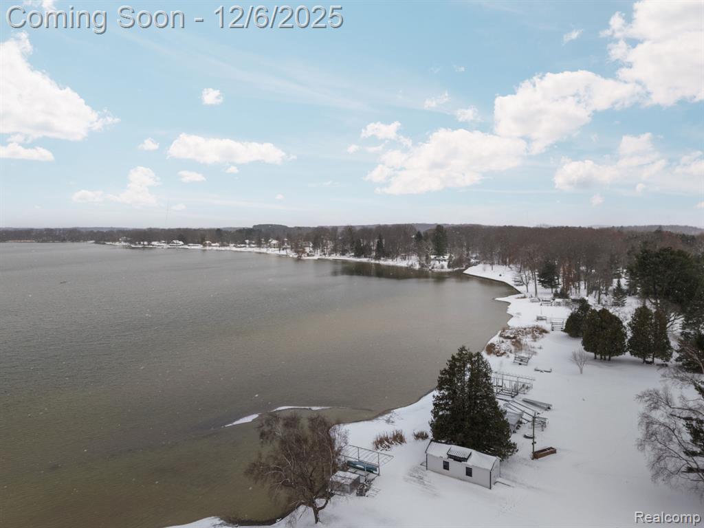 5886 S Green Avenue, Fremont, MI 49412 — Photo 39