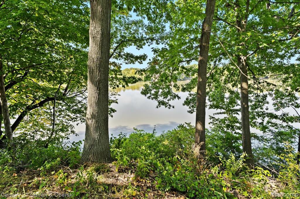 42620 Bradner Road, Northville, MI 48168 — Photo 43