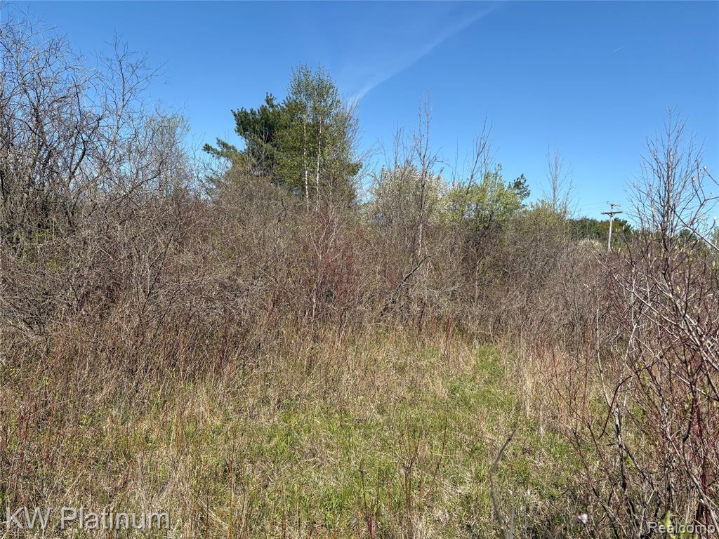 Parcel D Wicha Drive, Burtchville, MI 48059 — Photo 9