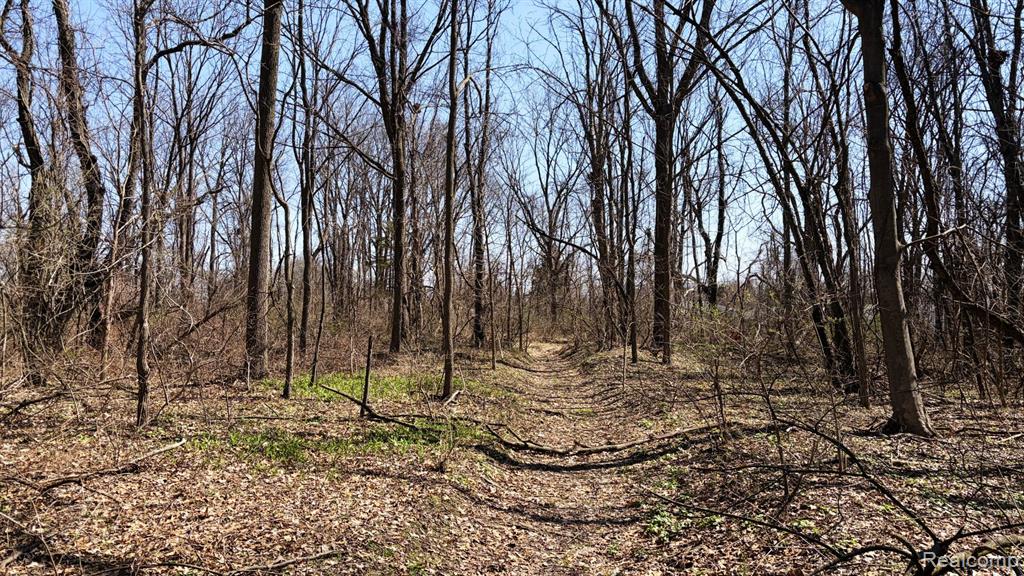 199 S Ford Boulevard, Ypsilanti, MI 48198 — Photo 5