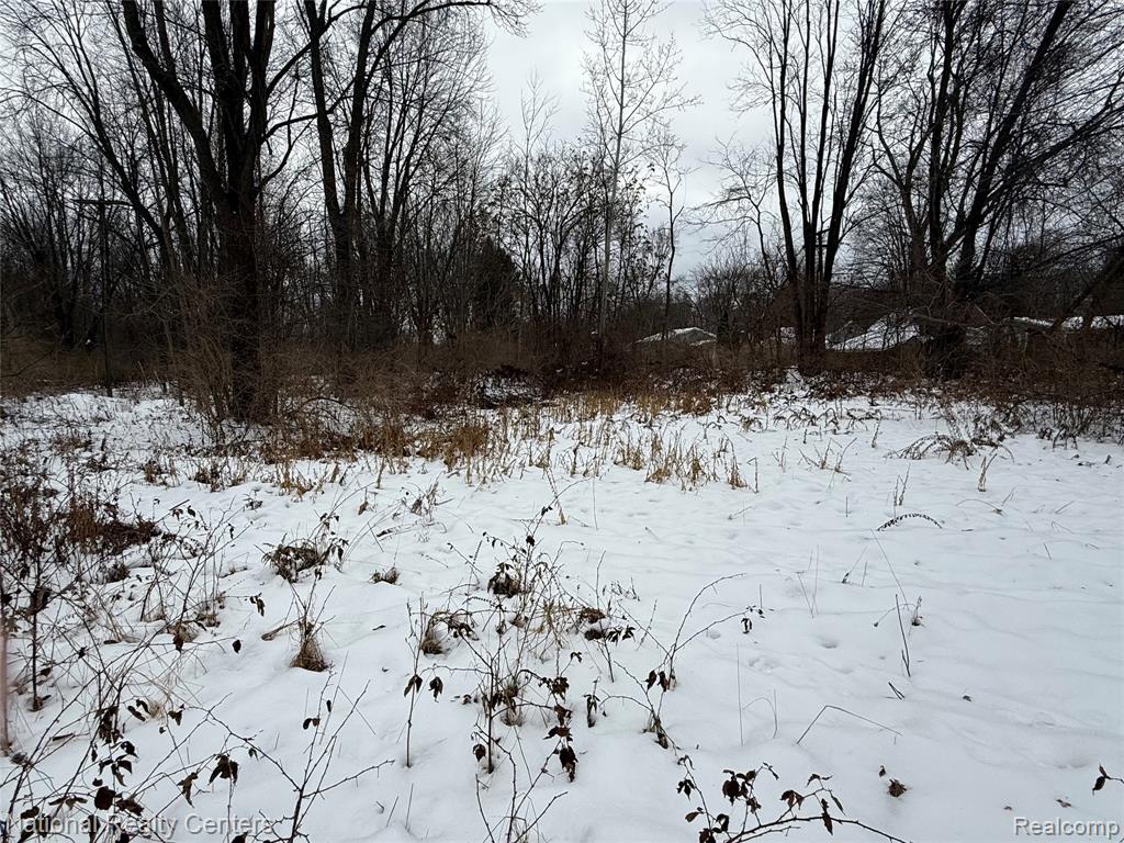 Vacant Ecorse Road, Romulus, MI 48174 — Photo 3