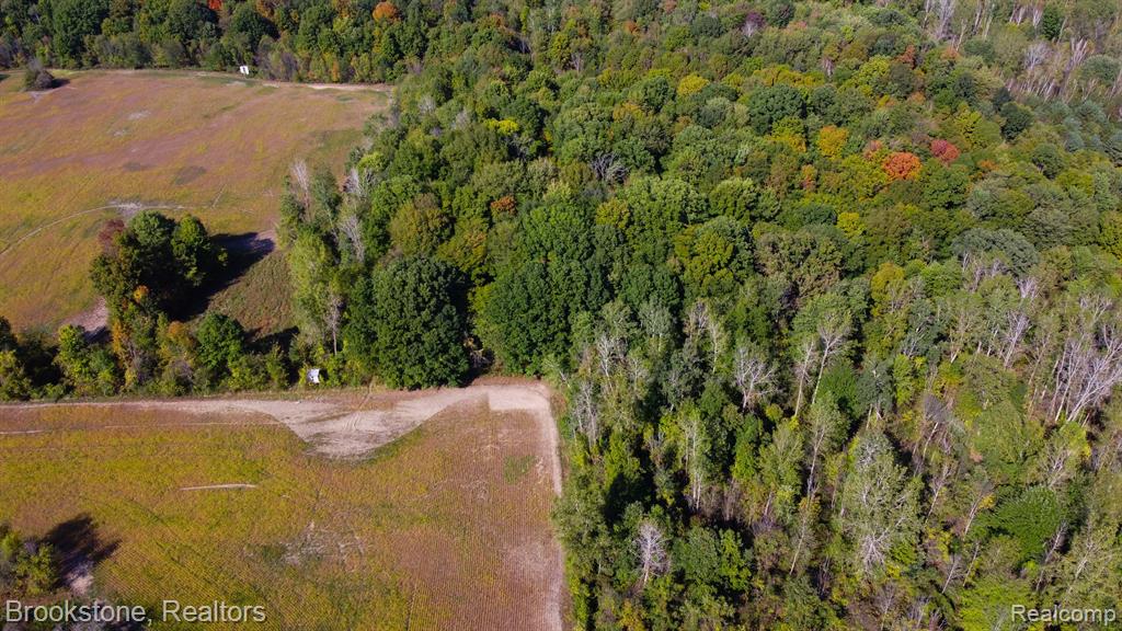 8390 SPARLING Road, Wales, MI — Photo 6