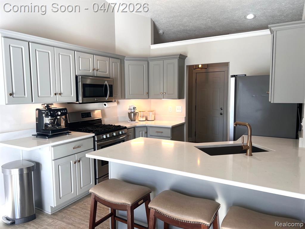 4740 S Francis Road, St. Johns, MI 48879 — Photo 9