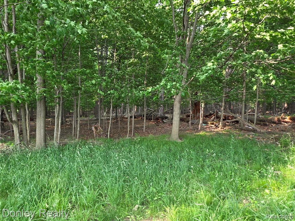 5900 Frenchline Road, Marlette, MI 48453 — Photo 7