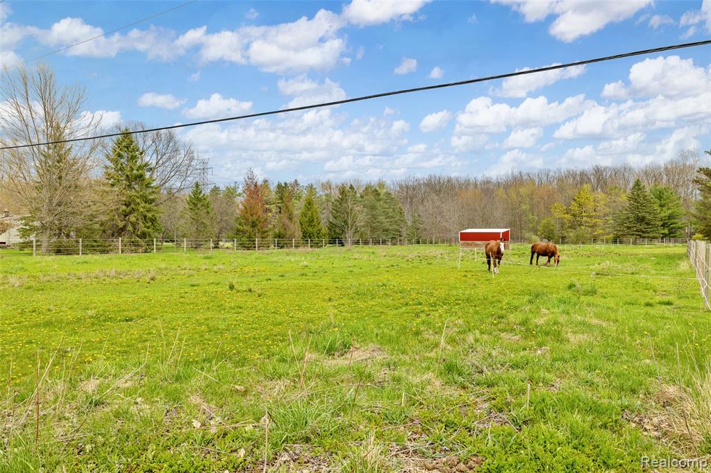 4425 Bethuy Road, Casco, MI 48064 — Photo 6