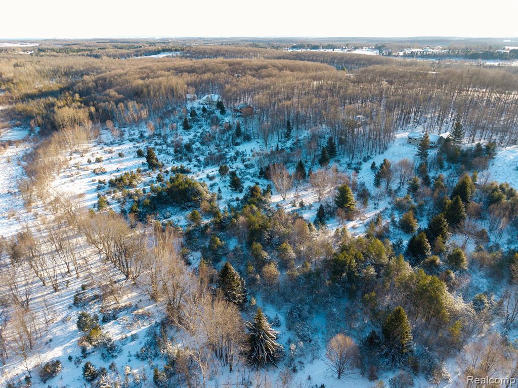 lot 4 BAY RIDGE ESTATES Drive, Ellsworth, MI 49729 — Photo 10